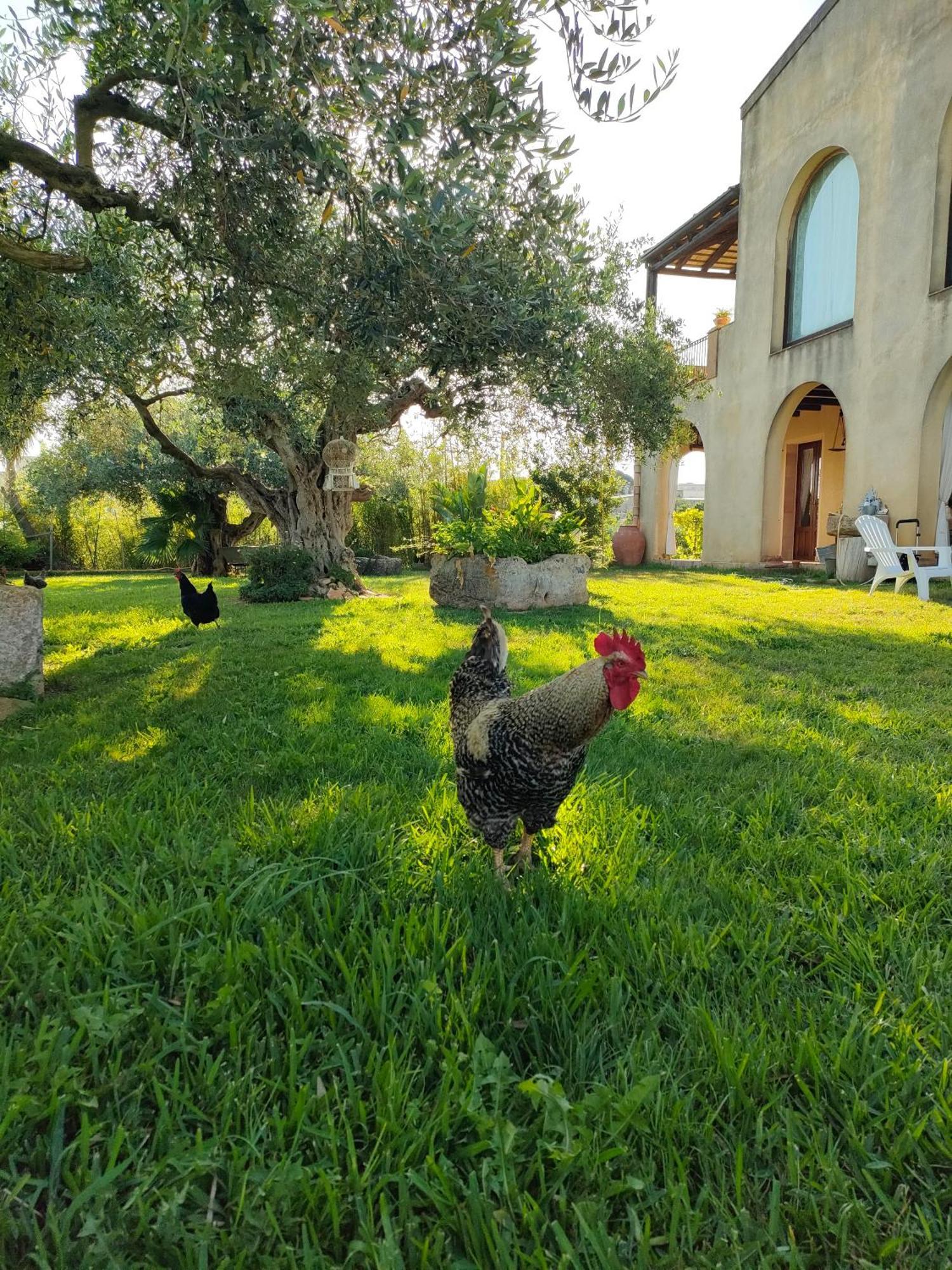 La Finestra Sul Limone Bed and Breakfast Castelvetrano Eksteriør billede